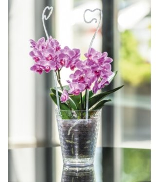 Elegantný črepník na orchideu číry, plastový, priemer 14cm