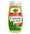 Bione Cosmetics Šampón na vlasy Cannabis Na mastné vlasy 260ml