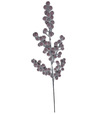 Bobule červené zamrznuté 64cm