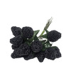 Černice dekoračný zväzok 13cm
