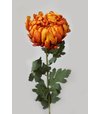 Chryzantéma oranžová na stonke 91cm