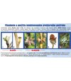Floraservis predjarný postrek proti prezimujúcim škodcom ovocných drevín 250ml + 12,5ml