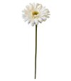 Gerbera krém 48cm