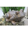 Hnedá soška žaby do záhrady 28cm