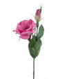 Lisianthus cyklamen 40cm