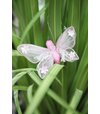 Motýľ ružový závesný dekoračný 12cm