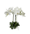 Orchidea biela umelá v kvetináči Real touch 58cm