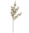 Orchidea mini krémová 89cm