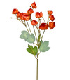 Ozdoba konár physalis 58cm