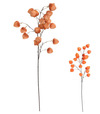Ozdoba zapichovacia physalis 98 cm mix