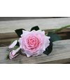Ruža s pukmi umelá, ružová, 42cm