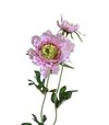 Scabiosa ružová umelá 40cm