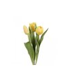Tulipán rozkvitnutý žltý