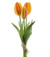 Tulipán Sally 3x oranžový 25cm