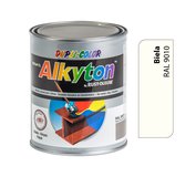 Alkyton matná biela R9010 5l