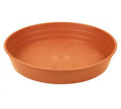 ATHENA 12CM