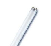 Dopredaj Žiarivka OSRAM Lumilux L36W/865 120cm
