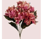 Hortenzia kytica 5kvetá ružová