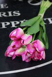 Kytička tulipánov ružová umelá 40cm