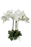 Orchidea biela umelá v kvetináči Real touch 58cm