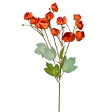 Ozdoba konár physalis 58cm