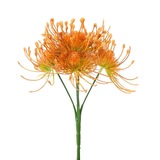 Ozdoba zapichovacia bodliak oranžová 24cm