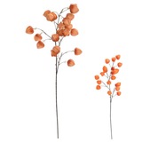 Ozdoba zapichovacia physalis 98 cm mix