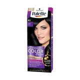 Palette Intensive Color Creme N1 - čierna farba na vlasy