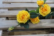 Ruža trsová umelá, žltá, 97cm