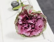 Ružovo zelenkavý karafiát na stonke s listami, dĺžka 66cm, kvet 8,5 x 6cm