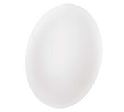 ZM3405 LED svietidlo TIVI, okrúhle biele 5,2W IP44, neutrálna biela