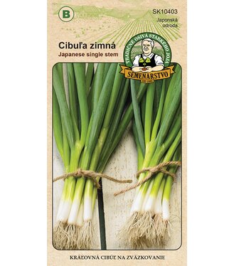 Cibuľa zimná na zväzkovanie