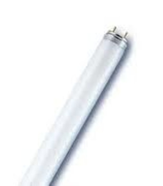 Dopredaj Žiarivka OSRAM Lumilux L36W/865 120cm