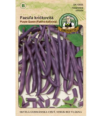 Fazuľa záhradná kríčkovitá Purple Queen