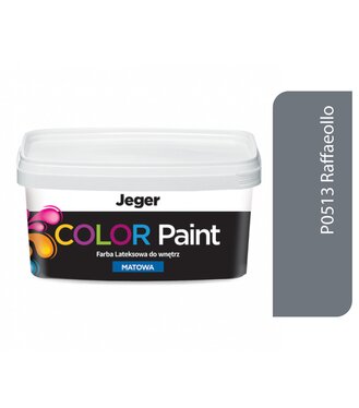 Jeger Color Paint 1L P0513 Raffaeollo