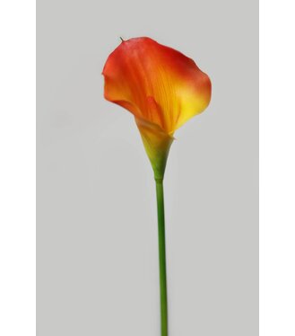 Kália oranžovo-žltá na stonke 66cm