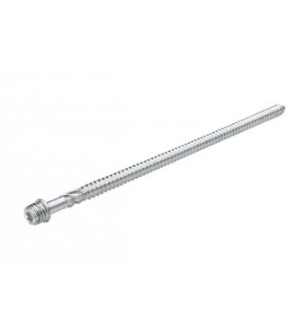 KJG Hrot závitový TORX 80 M10