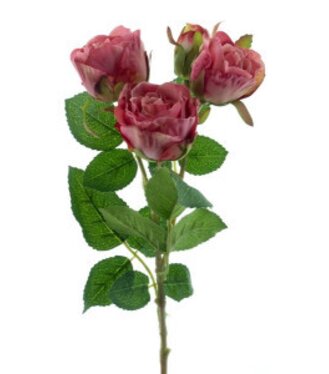 Miniruža Lily ružová 38cm