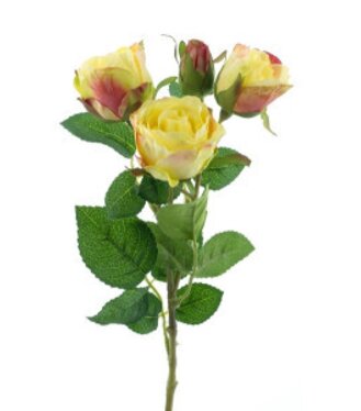 Miniruža Lily žltá 38cm