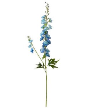 Ostrôžka modrá 85cm