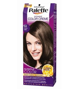 Palette Intensive Color Creme Farba na vlasy č.G3 Pralinka