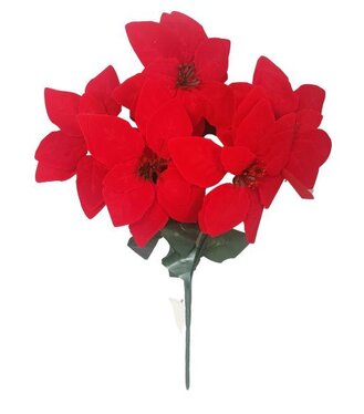 Ruža vianočná červená 48cm