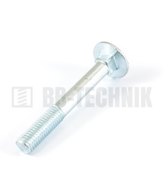 Skr.vrat.DIN 603 ZN+m M 8x50 100 ks