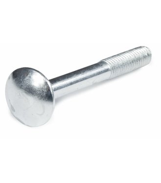 Skrutka vratová 8x30 DIN603 ZN 10ks
