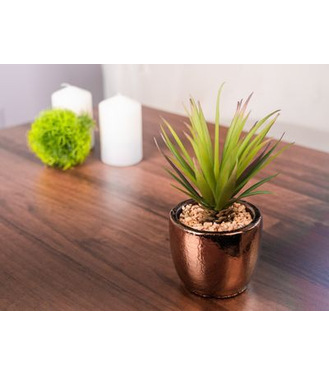 Sukulent MagicHome S34041 19cm črepník- cement zlatý umelý