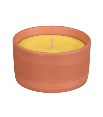Sviečka proti hmyzu CITRONELLA obal GUZMANIA 250g d10x8cm