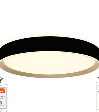 Svietidlo Opal Led 48W/RC+Smart/LC902MB čierna/zlatá