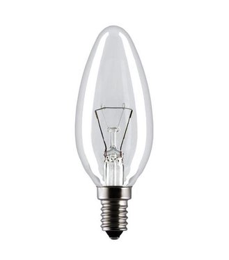 Techlamp žiarovka špeciálna pre extrémne teploty 40W 390lm E14