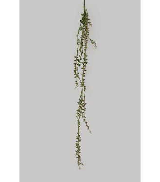 Trs rastliny senecio umelý zelený 70cm