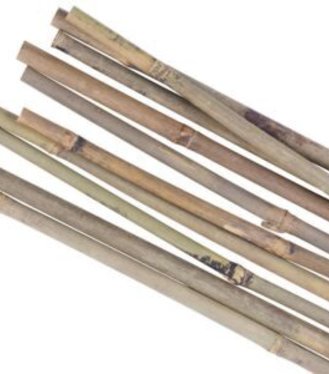 Tyč Garden KBT 1500/16-18mm,10ks,bambus,oporná k rastlinám